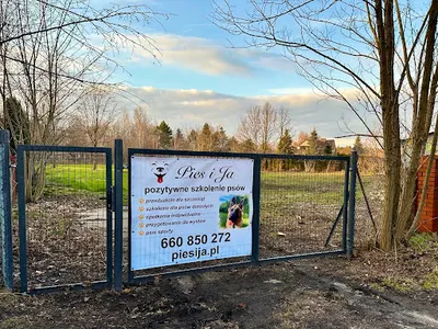 Pies i Ja - pozytywne szkolenie psów